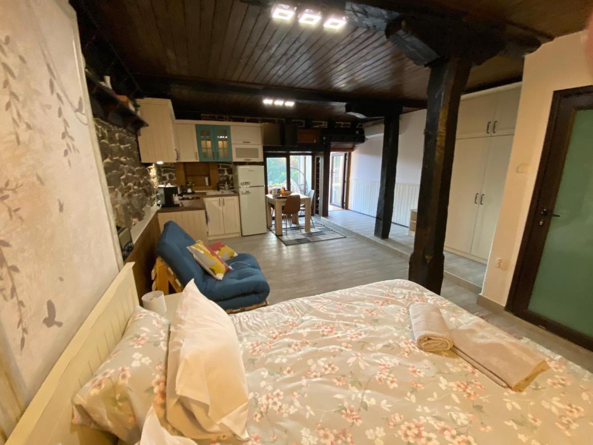 Studio Spring Villa Veliko Tarnovo Luaran gambar